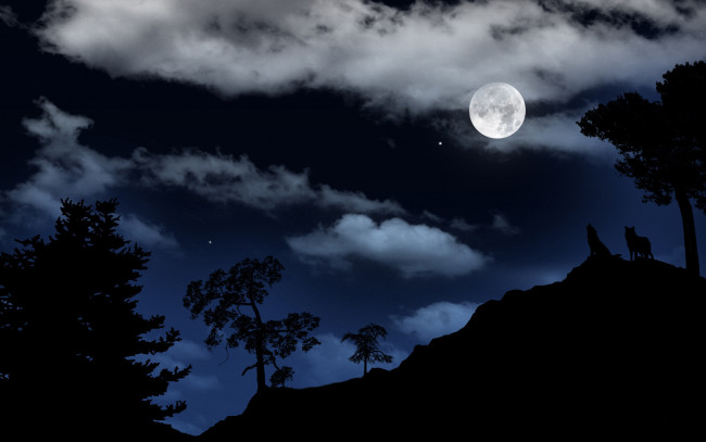 Обои картинки фото космос, луна, волки, природа, облака, ночь, звёзды, лес