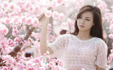 Картинка девушки -unsort+ азиатки цветение сакура весна азиатка девушка