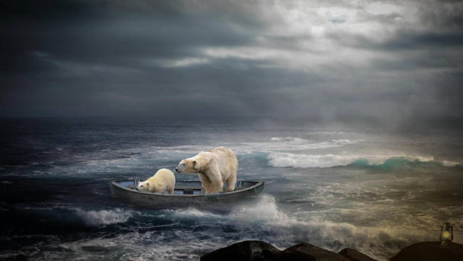 Обои картинки фото разное, компьютерный дизайн, art, медведи, лодка, скалы, море