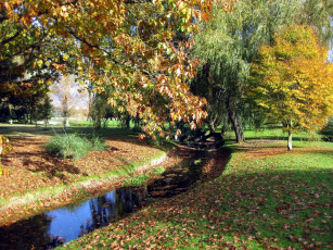Картинка природа парк деревья осень водоем