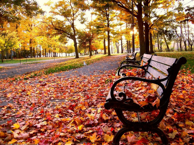 Обои картинки фото природа, парк, скамейка, листва, листопад, осень, аллея