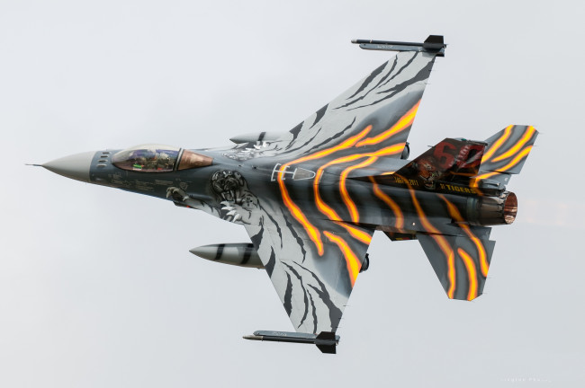 Обои картинки фото general dynamics f-16am fighting falcon, авиация, боевые самолёты, ввс