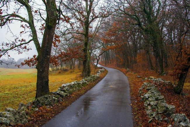 Обои картинки фото природа, дороги, осень, дорога, дождь