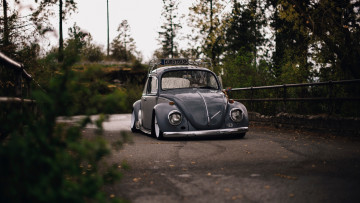 Картинка автомобили volkswagen beetle