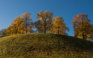 Картинка природа деревья холм осень