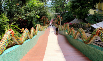 Картинка thailand природа парк