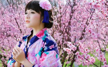 Картинка девушки -+азиатки кимоно сакура цветение