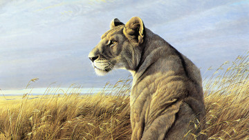 обоя 295414, рисованное, животные,  львы, хищник
