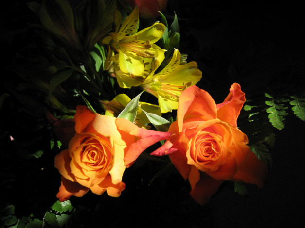 Обои картинки фото цветы, разные, вместе, розы, лилии, букет