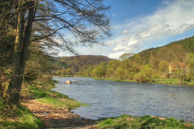 Обои картинки фото германия, бавария, регенштауф, природа, реки, озера, река, берег, деревья