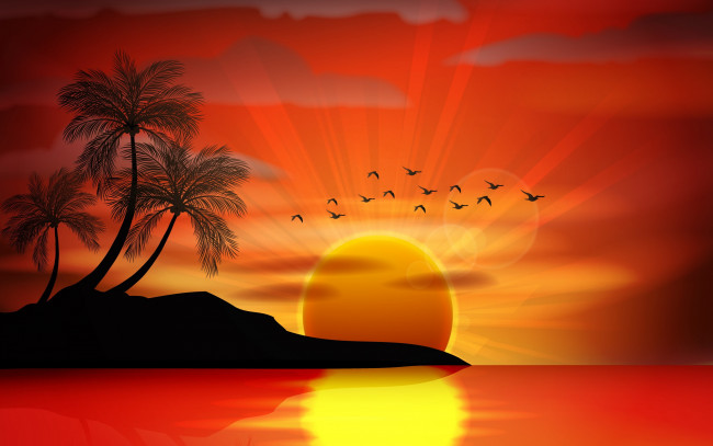 Обои картинки фото векторная графика, природа , nature, остров, пальмы, закат, море, птицы, силуэт, palms, island, tropical, paradise, sunset, sea, тропики