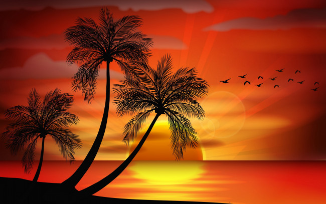 Обои картинки фото векторная графика, природа , nature, пальмы, закат, остров, море, palms, island, tropical, sea, paradise, sunset, тропики, силуэт