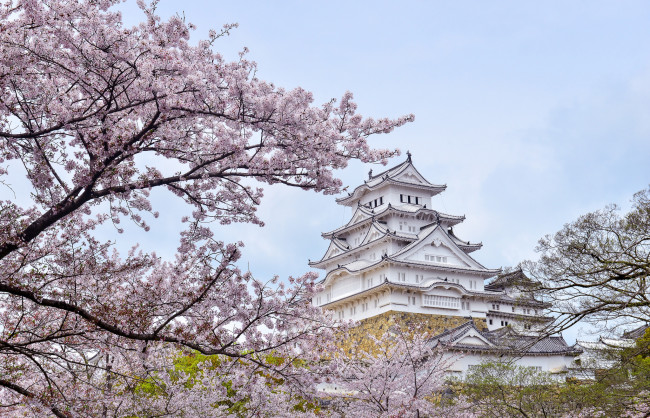 Обои картинки фото города, замки Японии, замок, парк
