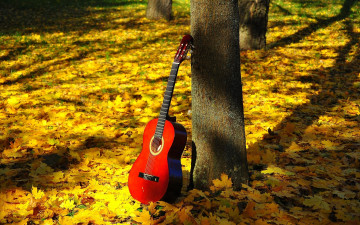 Картинка музыка -музыкальные+инструменты дерево листва гитара