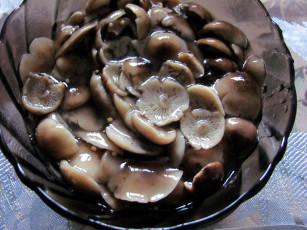 Картинка еда грибы +грибные+блюда опята