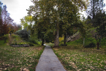 Картинка природа парк осень аллея