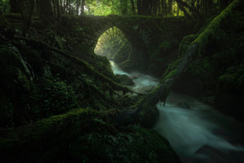Картинка природа реки озера мостик поток мох ручей
