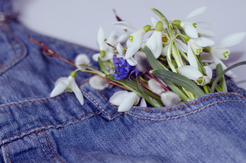 обоя цветы, разные вместе, джинсы, весна