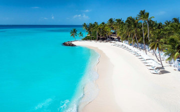 Картинка природа тропики пальмы залив пляж лежаки