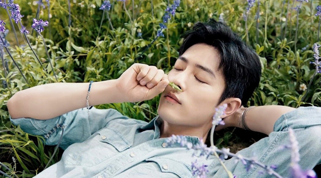 Обои картинки фото мужчины, xiao zhan, актер, рубашка, трава, цветы, лаванда