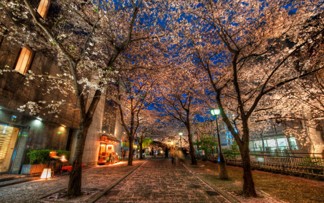 Обои картинки фото kyoto, japan, города, огни, ночного