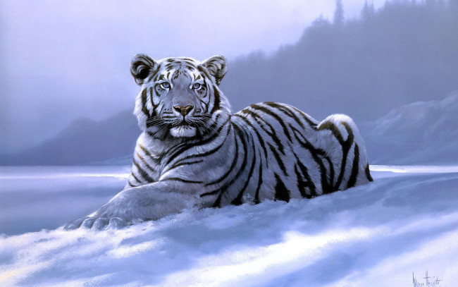 Обои картинки фото рисованные, животные, тигры, тигр