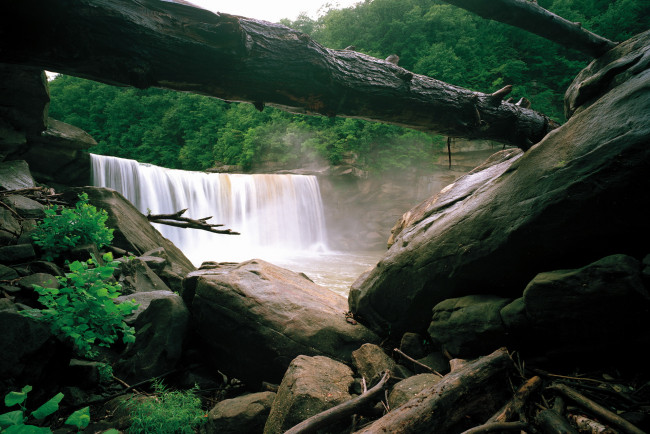 Обои картинки фото cumberland, falls, kentucky, сша, природа, водопады, водопад, бревна