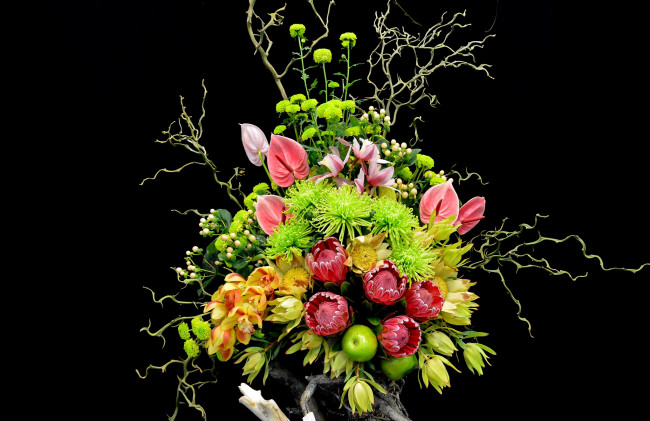 Обои картинки фото цветы, букеты, композиции, протея, орхидея, антуриум, хризантема, экзотика