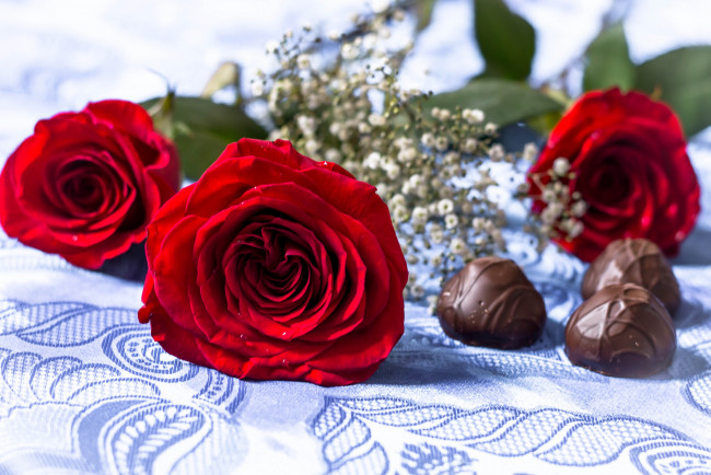 Обои картинки фото еда, конфеты,  шоколад,  сладости, роза, цветение, лепестки, цвет, цветы