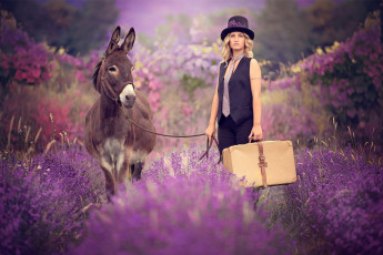 Картинка девушки -+блондинки +светловолосые ослик блондинка шляпа чемодан галстук