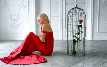 Картинка девушки -+блондинки +светловолосые блондинка поза клетка роза