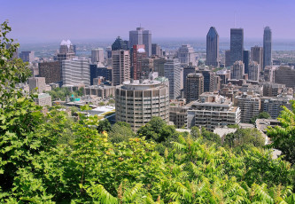 Картинка монреаль канада города панорамы деревья небоскребы здания