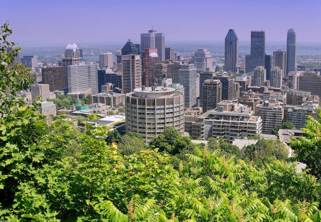 Обои картинки фото монреаль, канада, города, панорамы, деревья, небоскребы, здания
