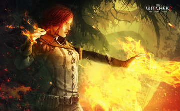 Картинка видео+игры the+witcher+2 +assassins+of+kings магия ведьмак деревья лес огонь колдовство ведьма