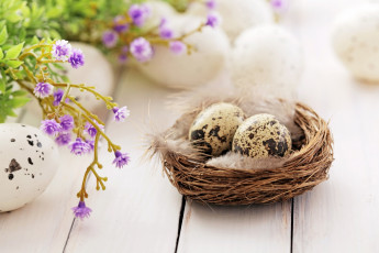 Картинка праздничные пасха яйцо цветы гнездо
