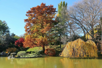 Картинка природа парк водоем деревья скульптура