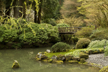 Картинка природа парк водоем камни мост кустарники деревья