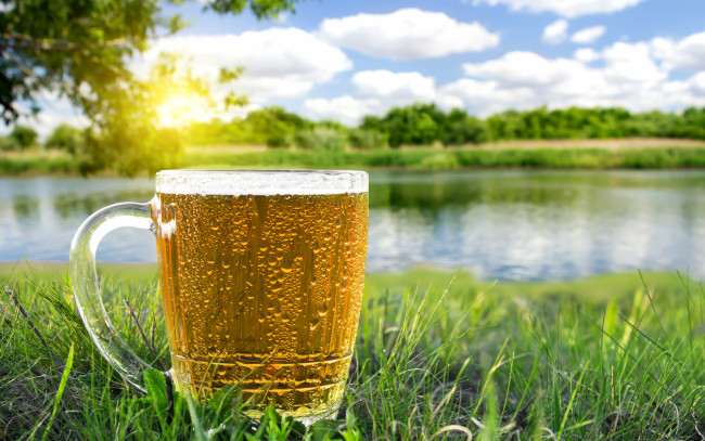 Обои картинки фото еда, напитки,  пиво, лето, зелень, пиво, трава, солнце, речка, деревья, кружка