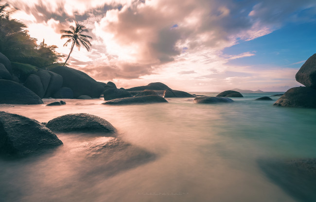Обои картинки фото природа, побережье, море, песок, камни, пальмы