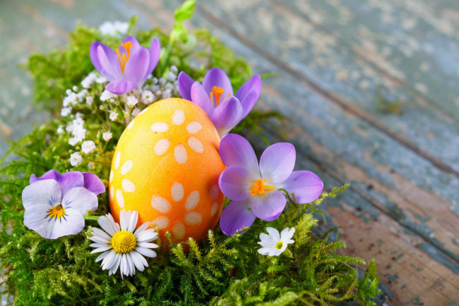 Обои картинки фото праздничные, пасха, цветы, яйцо