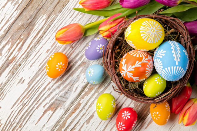 Обои картинки фото праздничные, пасха, яйцо, тюльпаны, гнездо