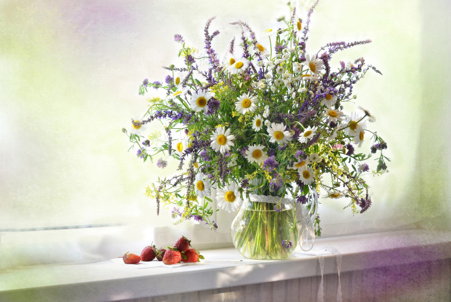 Обои картинки фото цветы, разные вместе, кувшин, окно, лето, клубника, ягоды, ромашки