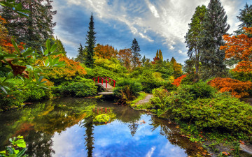 Картинка природа парк японский садик водоем мостик