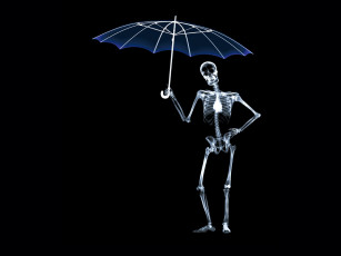 Картинка rentgen 18 разное кости рентген