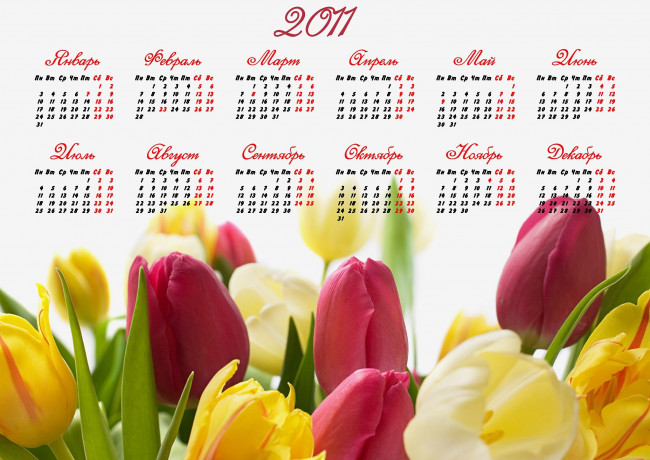Обои картинки фото календари, цветы, красный, желтый, тюльпаны
