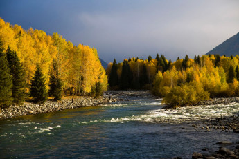 Картинка природа реки озера лес река камни осень
