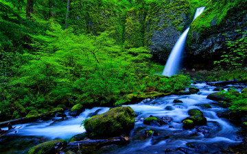 обоя rainforest, falls, stream, природа, водопады, река, лес, водопад