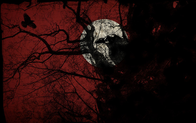 Обои картинки фото фэнтези, другое, вороны, дерево, ночь, луна