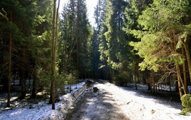 Обои картинки фото природа, дороги, сугробы, дорога, лес, зима