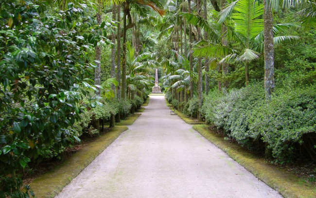 Обои картинки фото природа, парк, аллея, пальмы, памятник